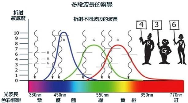 多段波長的察覺.jpg