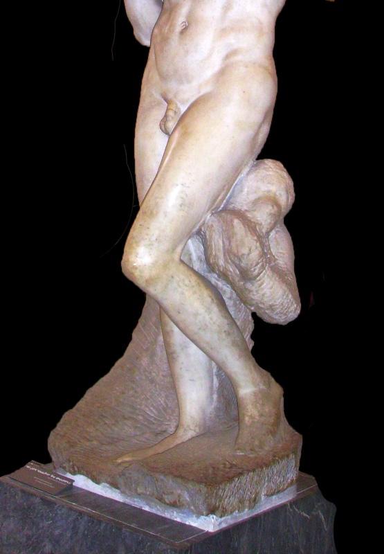 img265.jpg