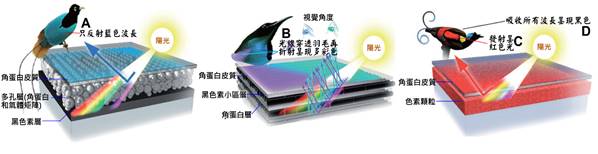 4B501A