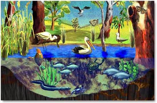00wetlands animals