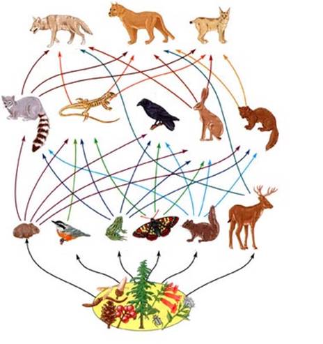 BG-生物群系-封面05