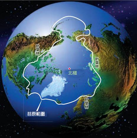 D-北極苔原圈.jpg