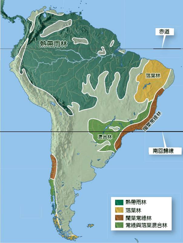 bT-南美熱帶林