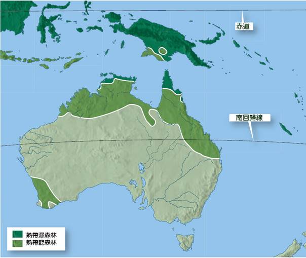 bT7-澳洲熱帶林