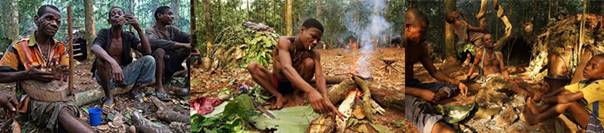 BT-非洲熱帶森林巴卡人