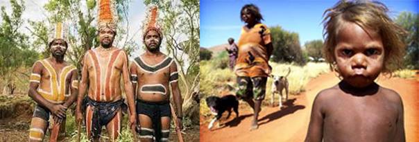 BT-澳洲熱帶森林居民