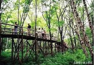 BT-10-2森林生態旅遊.jpg