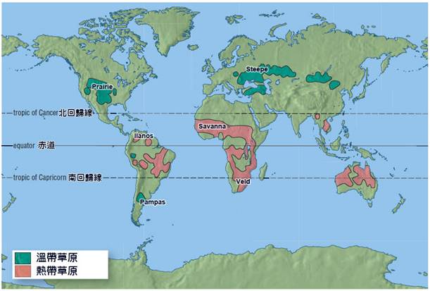 熱帶與溫帶草原.jpg