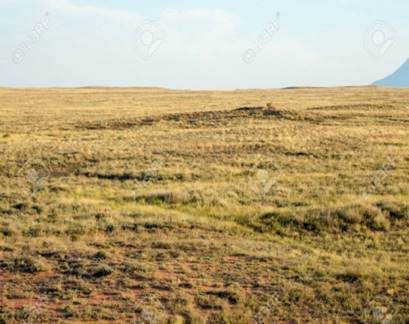 steppe-in--central-asia-kazakhstan.jpg