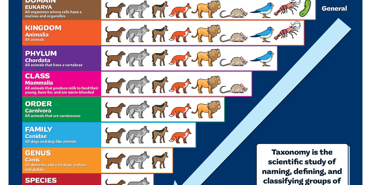 1-10b