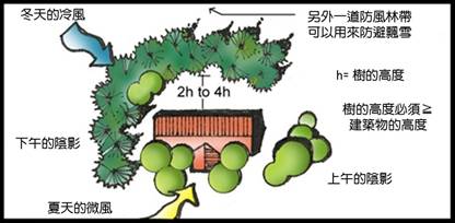 4.7防風植栽.jpg