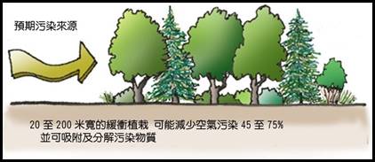 6.3b防風植栽.jpg